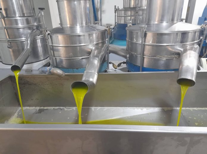 ΕΛΑΙΟΤΡΙΒΕΙΟ1